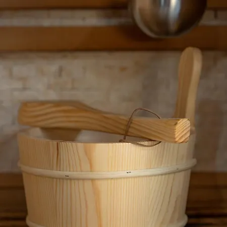 Sejour Bien Etre A Grand Espace Sauna Prive Et Acces Autoroute 公寓 埃尔斯坦